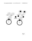 SEPARATION-FREE ASSAY METHOD diagram and image