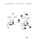 SEPARATION-FREE ASSAY METHOD diagram and image