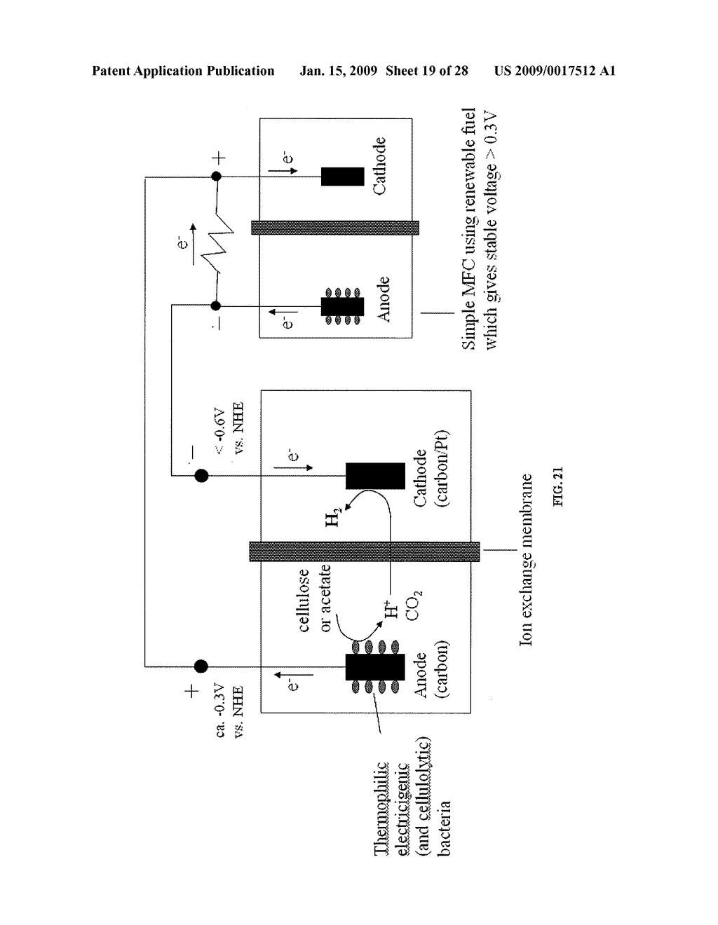 APPARATUS AND METHODS FOR THE PRODUCTION OF ETHANOL, HYDROGEN AND ELECTRICITY - diagram, schematic, and image 20