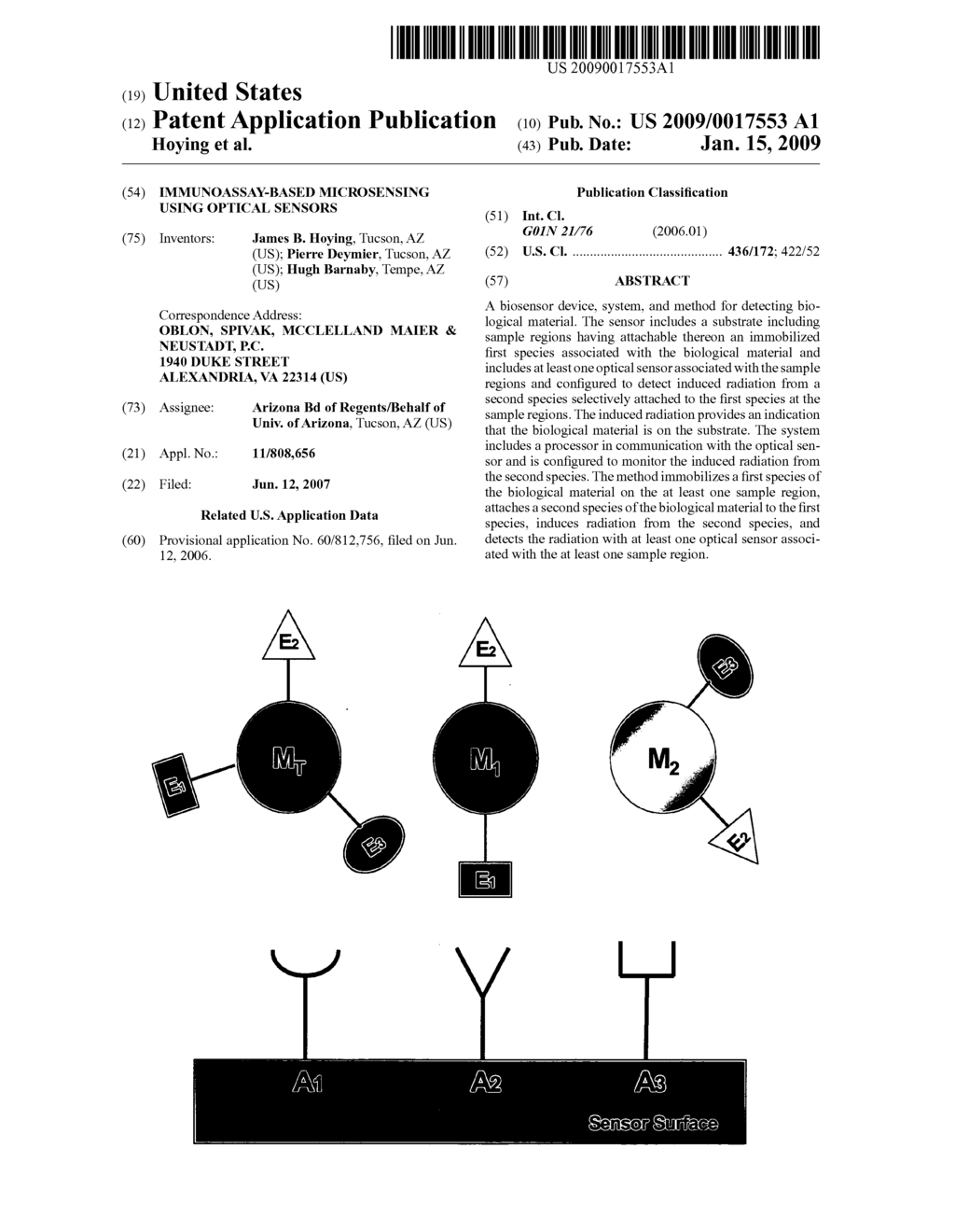 Immunoassay-based microsensing using optical sensors - diagram, schematic, and image 01