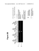 Immunoassay-based microsensing using optical sensors diagram and image