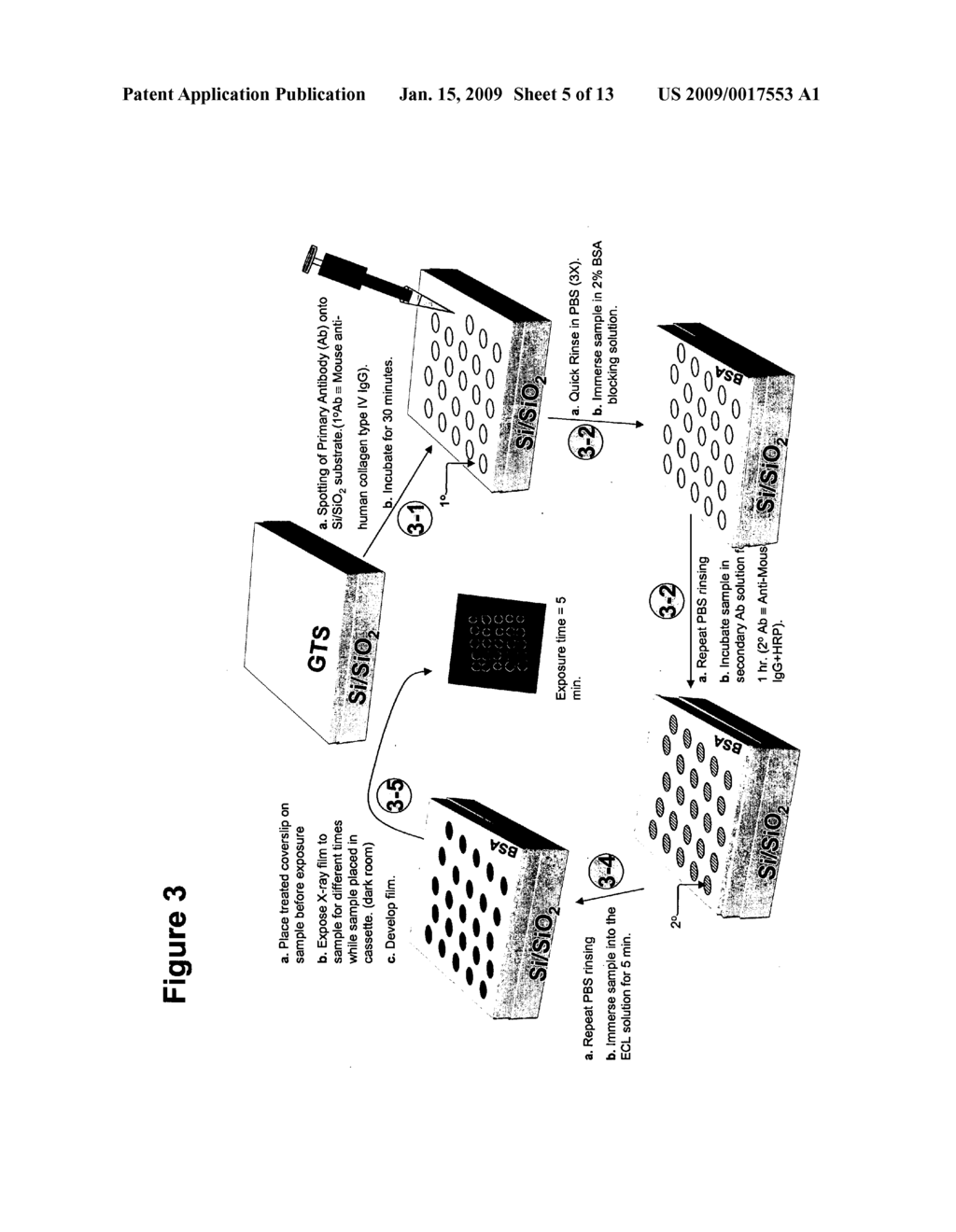 Immunoassay-based microsensing using optical sensors - diagram, schematic, and image 06