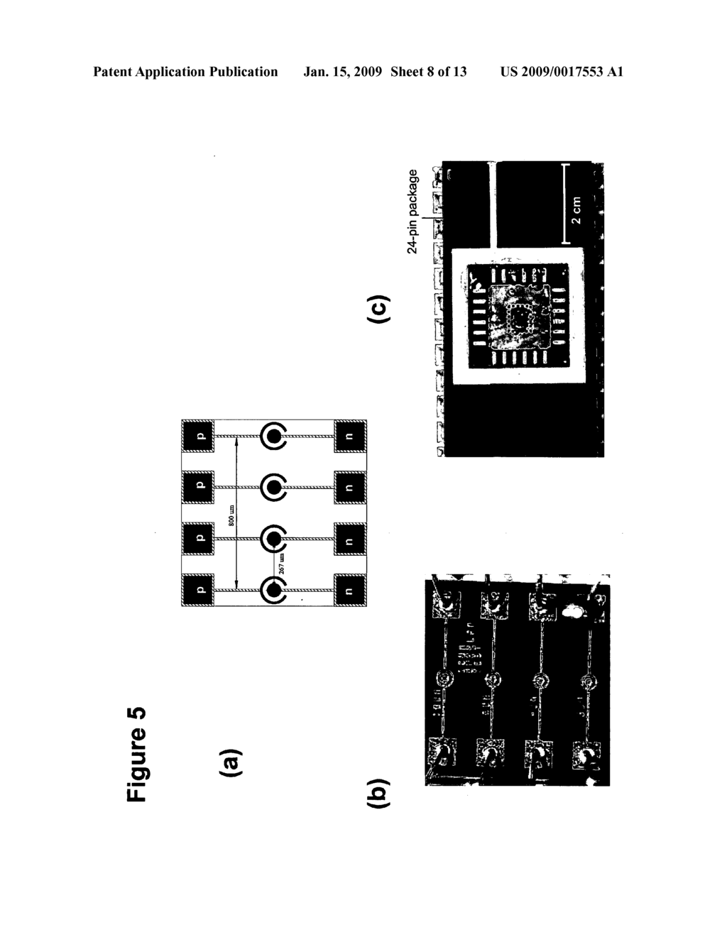 Immunoassay-based microsensing using optical sensors - diagram, schematic, and image 09