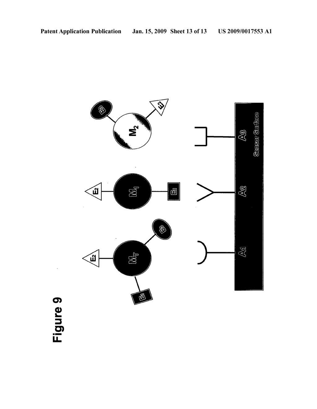 Immunoassay-based microsensing using optical sensors - diagram, schematic, and image 14