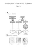 EPIDIDYMIS-SPECIFIC RECEPTOR PROTEIN diagram and image