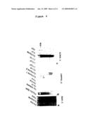 EPIDIDYMIS-SPECIFIC RECEPTOR PROTEIN diagram and image