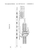 EPIDIDYMIS-SPECIFIC RECEPTOR PROTEIN diagram and image