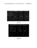 Peptides for Inhibiting Insects diagram and image