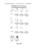 Peptides for Inhibiting Insects diagram and image