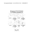 Peptides for Inhibiting Insects diagram and image