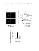 Methods For Regulating The Growth And/Or Survival Of Tumor Cells And Stem Cells By Modulating The Expression Or Function Of The Transcription Factor ATF5 diagram and image