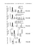 Methods For Regulating The Growth And/Or Survival Of Tumor Cells And Stem Cells By Modulating The Expression Or Function Of The Transcription Factor ATF5 diagram and image