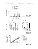 Methods For Regulating The Growth And/Or Survival Of Tumor Cells And Stem Cells By Modulating The Expression Or Function Of The Transcription Factor ATF5 diagram and image