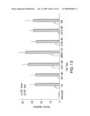 Methods For Regulating The Growth And/Or Survival Of Tumor Cells And Stem Cells By Modulating The Expression Or Function Of The Transcription Factor ATF5 diagram and image