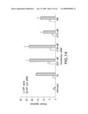 Methods For Regulating The Growth And/Or Survival Of Tumor Cells And Stem Cells By Modulating The Expression Or Function Of The Transcription Factor ATF5 diagram and image