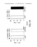 Methods For Regulating The Growth And/Or Survival Of Tumor Cells And Stem Cells By Modulating The Expression Or Function Of The Transcription Factor ATF5 diagram and image