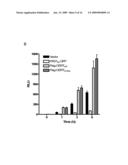 PROTEIN PRODUCTION diagram and image