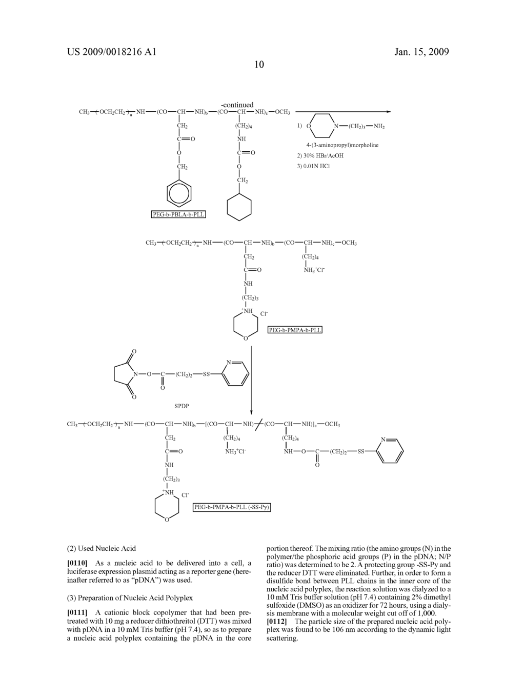 POLYMER MICELLE COMPLEX INCLUDING NUCLEIC ACID - diagram, schematic, and image 19