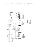 METHOD FOR THE FORMATION OF HYDROGEL MULTILAYERS THROUGH SURFACE INITIATED PHOTOPOLYMERIZATION diagram and image