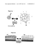 METHOD FOR THE FORMATION OF HYDROGEL MULTILAYERS THROUGH SURFACE INITIATED PHOTOPOLYMERIZATION diagram and image