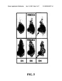 Compositions of phospholipid ether boronic acids and esters and methods for their synthesis and use diagram and image