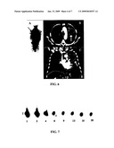 Compositions of phospholipid ether boronic acids and esters and methods for their synthesis and use diagram and image