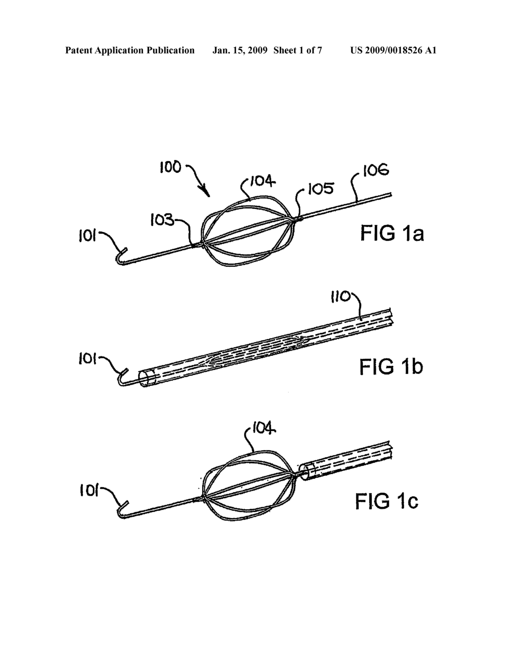 Devices and Methods for Perfusing an Organ - diagram, schematic, and image 02