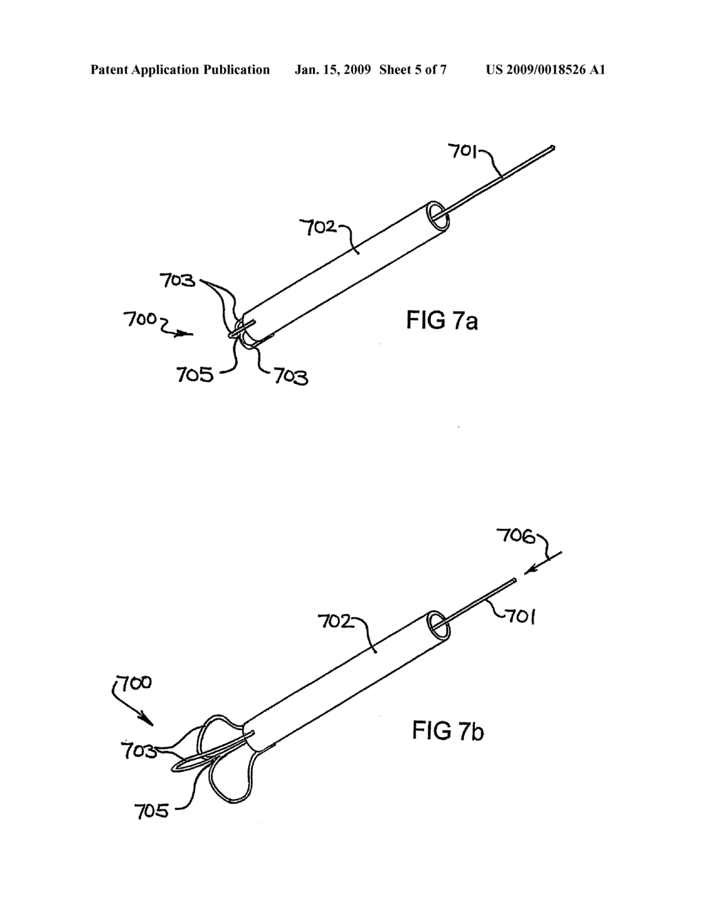 Devices and Methods for Perfusing an Organ - diagram, schematic, and image 06