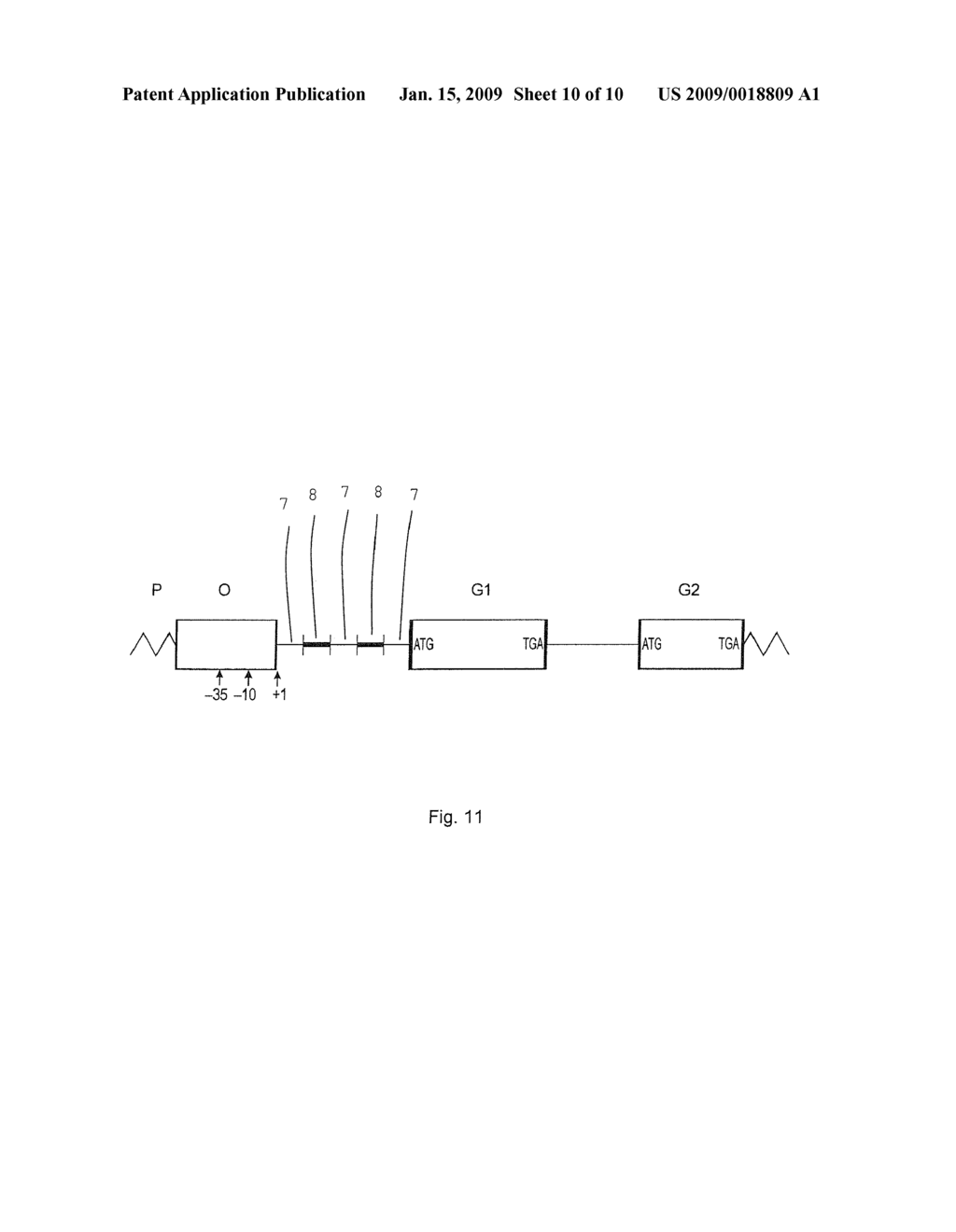 COMPUTER GENE - diagram, schematic, and image 11