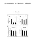 Method Of Screening Compound Regulating The Translation Of Specific mRNA diagram and image