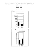 Method Of Screening Compound Regulating The Translation Of Specific mRNA diagram and image