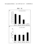 Method Of Screening Compound Regulating The Translation Of Specific mRNA diagram and image