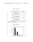 Method Of Screening Compound Regulating The Translation Of Specific mRNA diagram and image