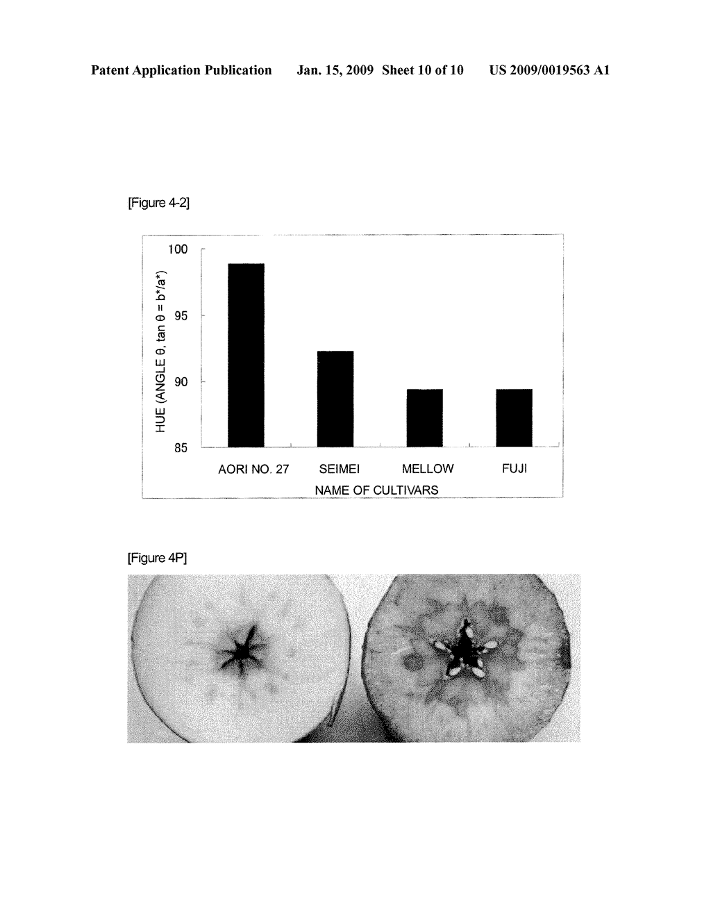 NON-BROWNING APPLE, METHOD FOR PRODUCING THE SAME, AND DRINK AND FOOD USING THE SAME - diagram, schematic, and image 11