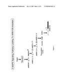 MASTER ACTIVATORS OF PATHOGEN RESPONSIVE GENES diagram and image