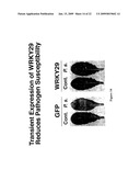 MASTER ACTIVATORS OF PATHOGEN RESPONSIVE GENES diagram and image