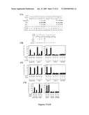 MASTER ACTIVATORS OF PATHOGEN RESPONSIVE GENES diagram and image