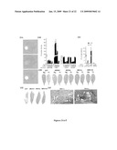 MASTER ACTIVATORS OF PATHOGEN RESPONSIVE GENES diagram and image