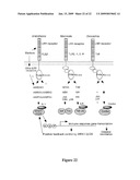 MASTER ACTIVATORS OF PATHOGEN RESPONSIVE GENES diagram and image