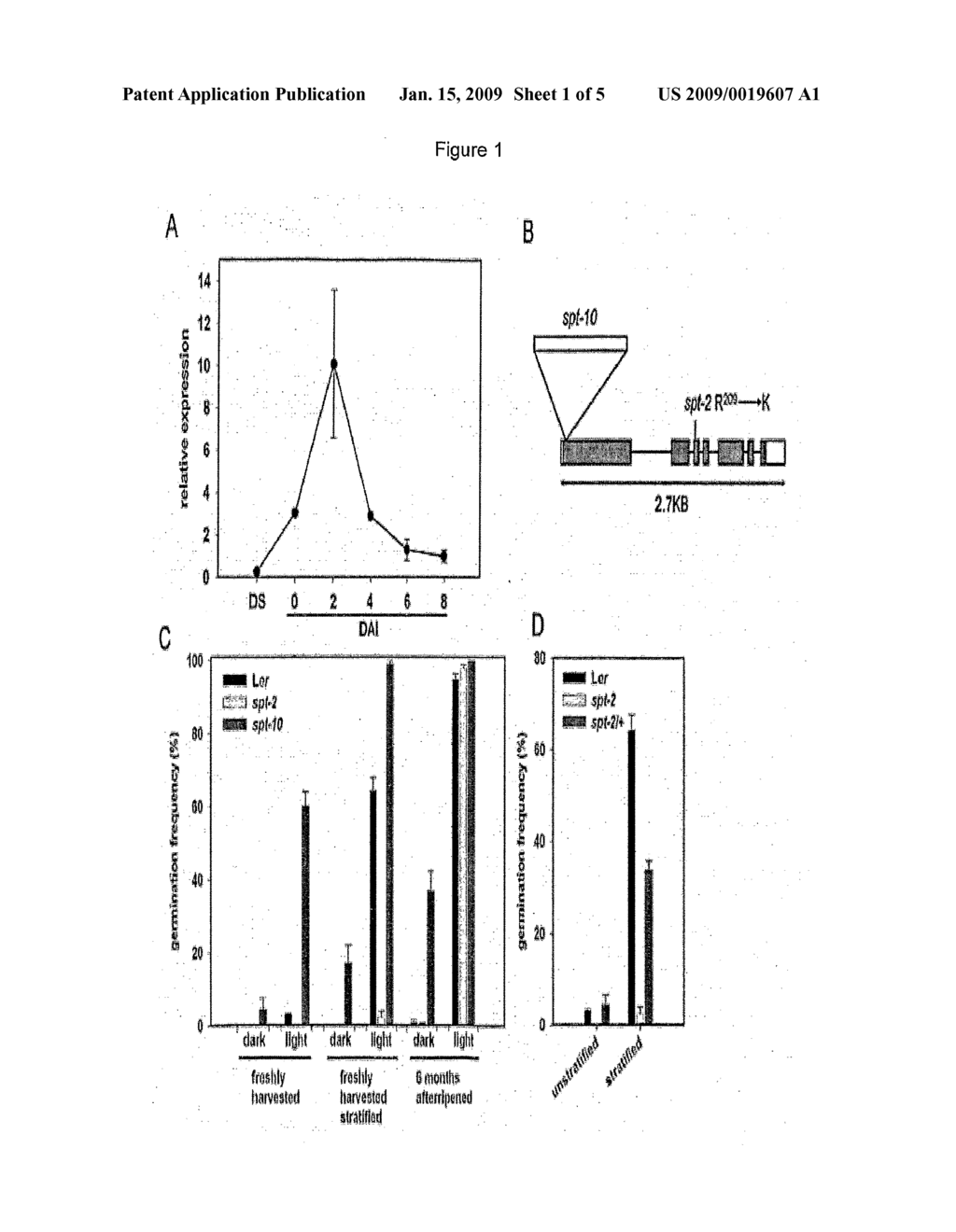 TRANSGENIC PLANT CELLS EXPRESSING A TRANSCRIPTION FACTOR - diagram, schematic, and image 02