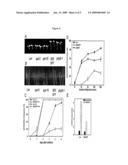 TRANSGENIC PLANT CELLS EXPRESSING A TRANSCRIPTION FACTOR diagram and image