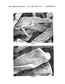 TACKY ALLERGEN TRAP AND FILTER MEDIUM, AND METHOD FOR CONTAINING ALLERGENS diagram and image