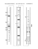 Deep water hurricane valve diagram and image