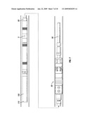 Deep water hurricane valve diagram and image