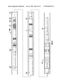 Deep water hurricane valve diagram and image