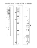 Deep water hurricane valve diagram and image