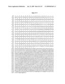 ANTIBODIES AND RELATED MOLECULES THAT BIND TO 161P2F10B PROTEINS diagram and image