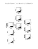 ANTIBODIES AND RELATED MOLECULES THAT BIND TO 161P2F10B PROTEINS diagram and image