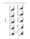 ANTIBODIES AND RELATED MOLECULES THAT BIND TO 161P2F10B PROTEINS diagram and image