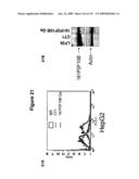 ANTIBODIES AND RELATED MOLECULES THAT BIND TO 161P2F10B PROTEINS diagram and image